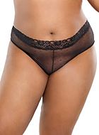 Cheeky panties, sheer mesh, wide lace edge, small dots, plus size